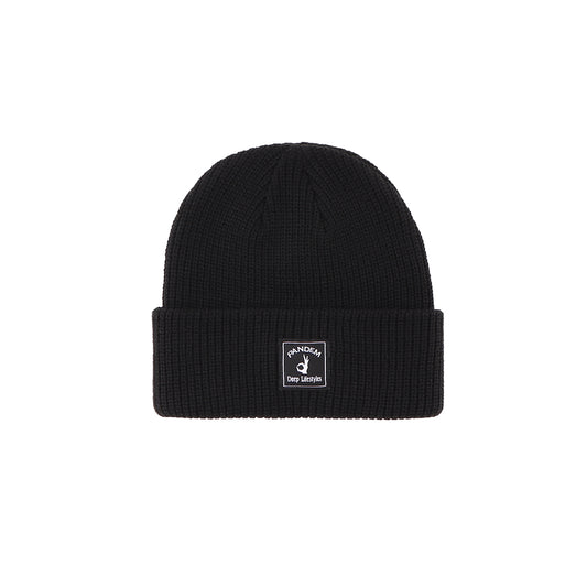 DPLS × Pandem | Beanie